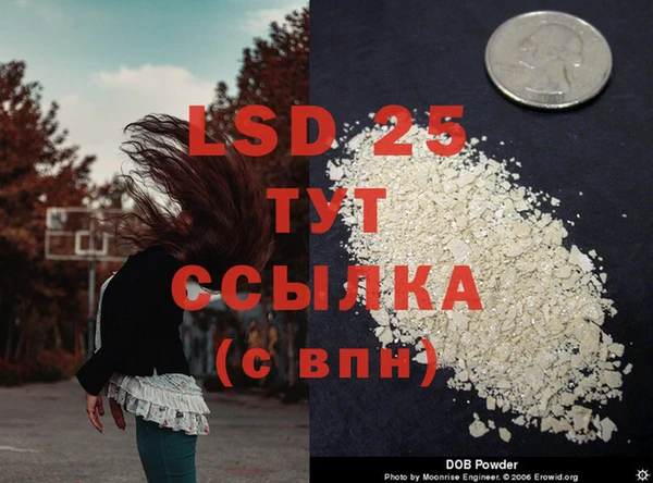 винт Каменногорск