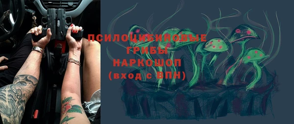 ГАЛЛЮЦИНОГЕННЫЕ ГРИБЫ Каменка