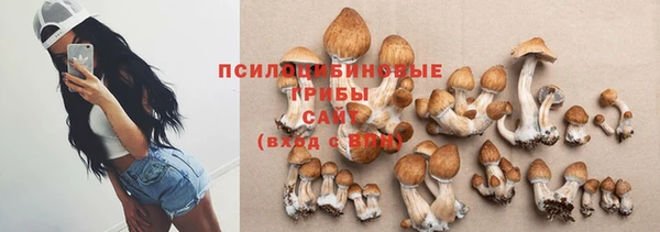 ГАЛЛЮЦИНОГЕННЫЕ ГРИБЫ Каменка