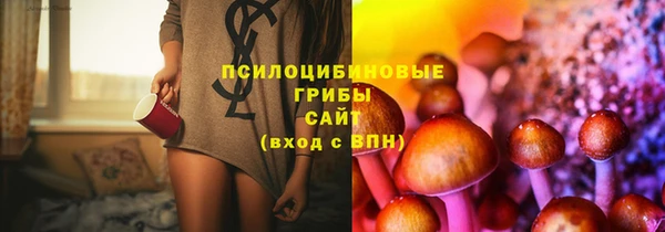 винт Каменногорск