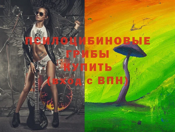 ГАЛЛЮЦИНОГЕННЫЕ ГРИБЫ Каменка
