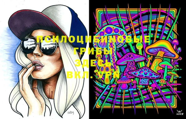 винт Каменногорск