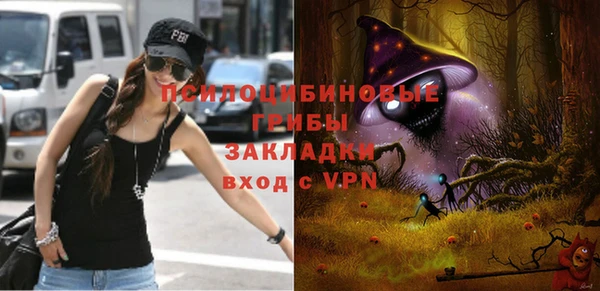 винт Каменногорск