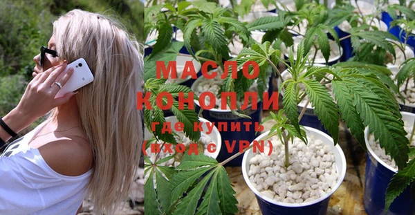 ГАЛЛЮЦИНОГЕННЫЕ ГРИБЫ Каменка