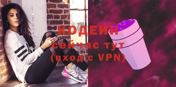 ГАЛЛЮЦИНОГЕННЫЕ ГРИБЫ Каменка