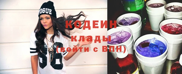 ГАЛЛЮЦИНОГЕННЫЕ ГРИБЫ Каменка